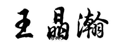 胡问遂王晶瀚行书个性签名怎么写