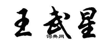 胡问遂王武星行书个性签名怎么写