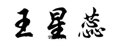 胡问遂王星蕊行书个性签名怎么写