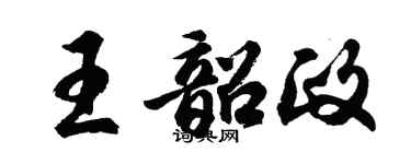 胡问遂王韶政行书个性签名怎么写