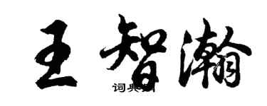 胡问遂王智瀚行书个性签名怎么写