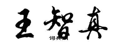 胡问遂王智真行书个性签名怎么写