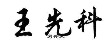 胡问遂王先科行书个性签名怎么写