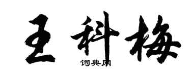胡问遂王科梅行书个性签名怎么写