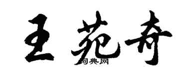 胡问遂王苑奇行书个性签名怎么写