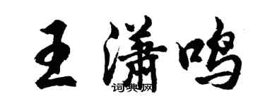 胡问遂王潇鸣行书个性签名怎么写