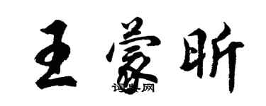 胡问遂王蒙昕行书个性签名怎么写