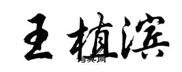 胡问遂王植滨行书个性签名怎么写
