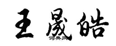 胡问遂王晟皓行书个性签名怎么写