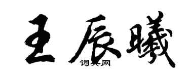 胡问遂王辰曦行书个性签名怎么写