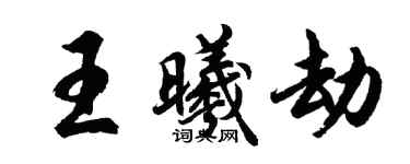 胡问遂王曦劫行书个性签名怎么写