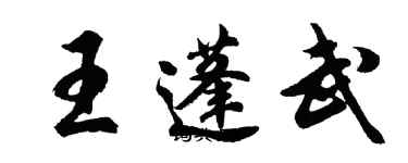胡问遂王蓬武行书个性签名怎么写