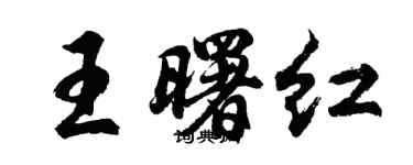 胡问遂王曙红行书个性签名怎么写
