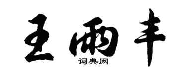 胡问遂王雨丰行书个性签名怎么写