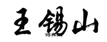 胡问遂王锡山行书个性签名怎么写