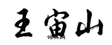 胡问遂王宙山行书个性签名怎么写