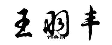 胡问遂王羽丰行书个性签名怎么写