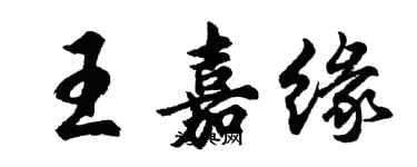 胡问遂王嘉缘行书个性签名怎么写