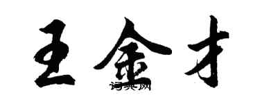 胡问遂王金才行书个性签名怎么写