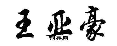 胡问遂王亚豪行书个性签名怎么写