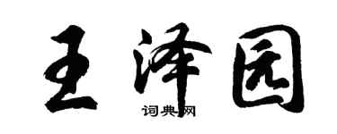 胡问遂王泽园行书个性签名怎么写