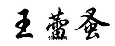 胡问遂王蕾蚤行书个性签名怎么写