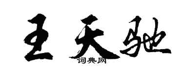 胡问遂王天驰行书个性签名怎么写