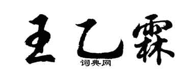 胡问遂王乙霖行书个性签名怎么写
