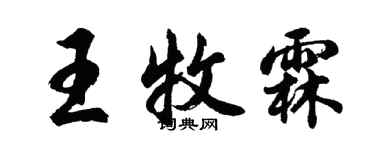 胡问遂王牧霖行书个性签名怎么写