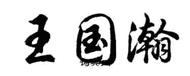 胡问遂王国瀚行书个性签名怎么写