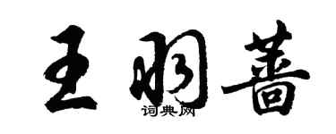 胡问遂王羽蔷行书个性签名怎么写