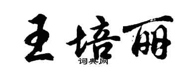 胡问遂王培丽行书个性签名怎么写