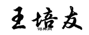胡问遂王培友行书个性签名怎么写