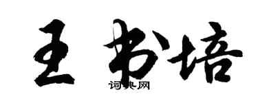 胡问遂王书培行书个性签名怎么写