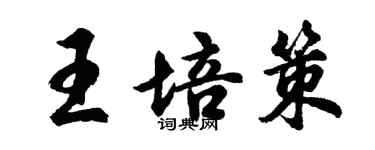 胡问遂王培策行书个性签名怎么写