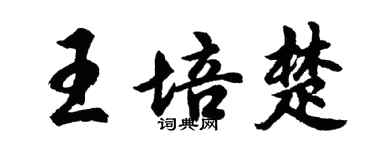 胡问遂王培楚行书个性签名怎么写