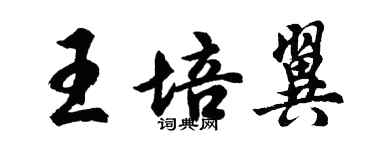 胡问遂王培翼行书个性签名怎么写