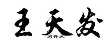 胡问遂王天发行书个性签名怎么写