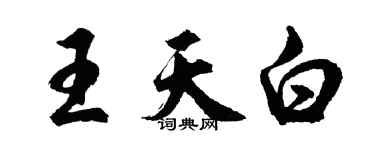 胡问遂王天白行书个性签名怎么写