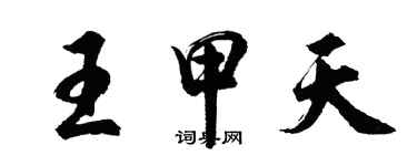 胡问遂王甲天行书个性签名怎么写