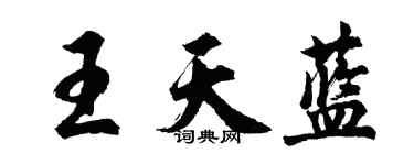 胡问遂王天蓝行书个性签名怎么写