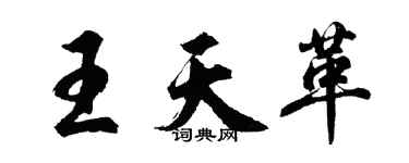 胡问遂王天革行书个性签名怎么写
