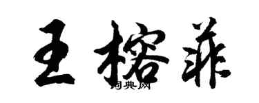 胡问遂王榕菲行书个性签名怎么写