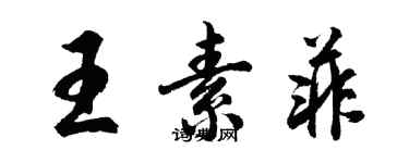 胡问遂王素菲行书个性签名怎么写