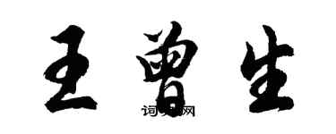 胡问遂王曾生行书个性签名怎么写