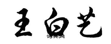 胡问遂王白艺行书个性签名怎么写