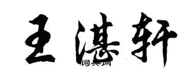 胡问遂王湛轩行书个性签名怎么写