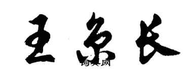 胡问遂王京长行书个性签名怎么写