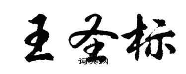 胡问遂王圣标行书个性签名怎么写