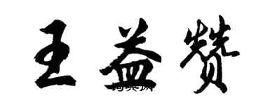 胡问遂王益赞行书个性签名怎么写